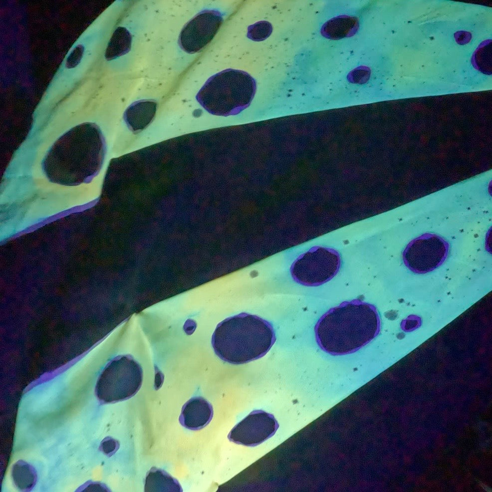 SINGLE: Poison Dart Frog Silk Fishbone Fan