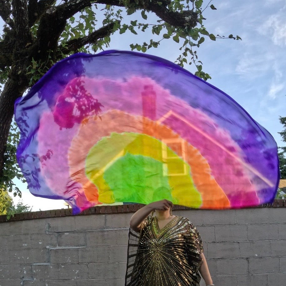 Neon Rainbow LARGE Weighted Veil