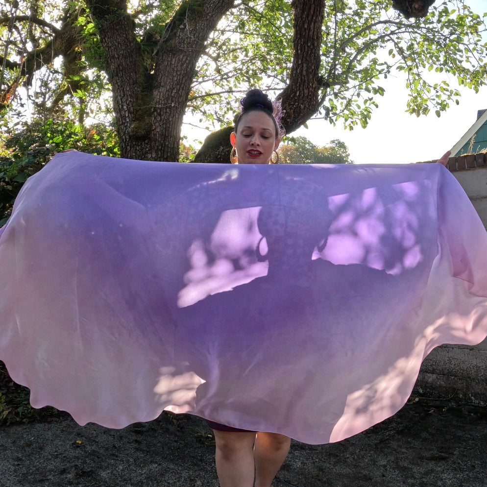 Pastel Ombré Weighted Veil